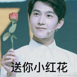 杨洋的环保表情包,绿色时尚，传递环保正能量